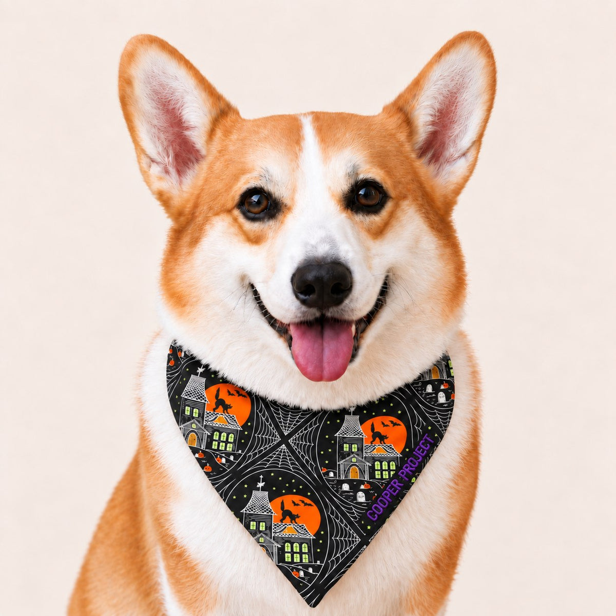A corgi wearing the Haunted House Dog Bandana