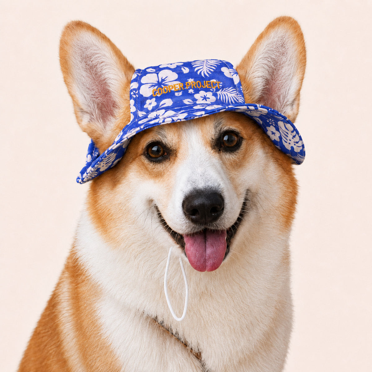 A corgi wearing the Hawaii Dog Bucket Hat