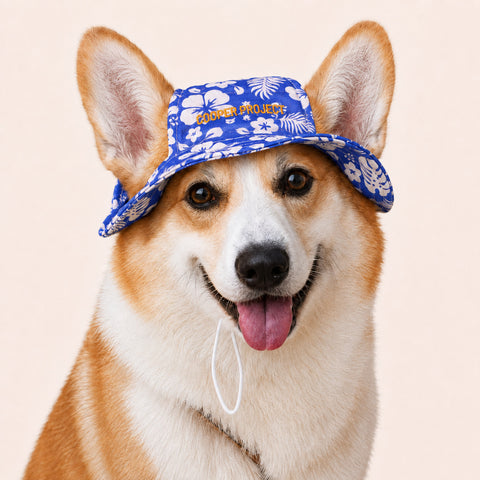 A corgi wearing the Hawaii Dog Bucket Hat