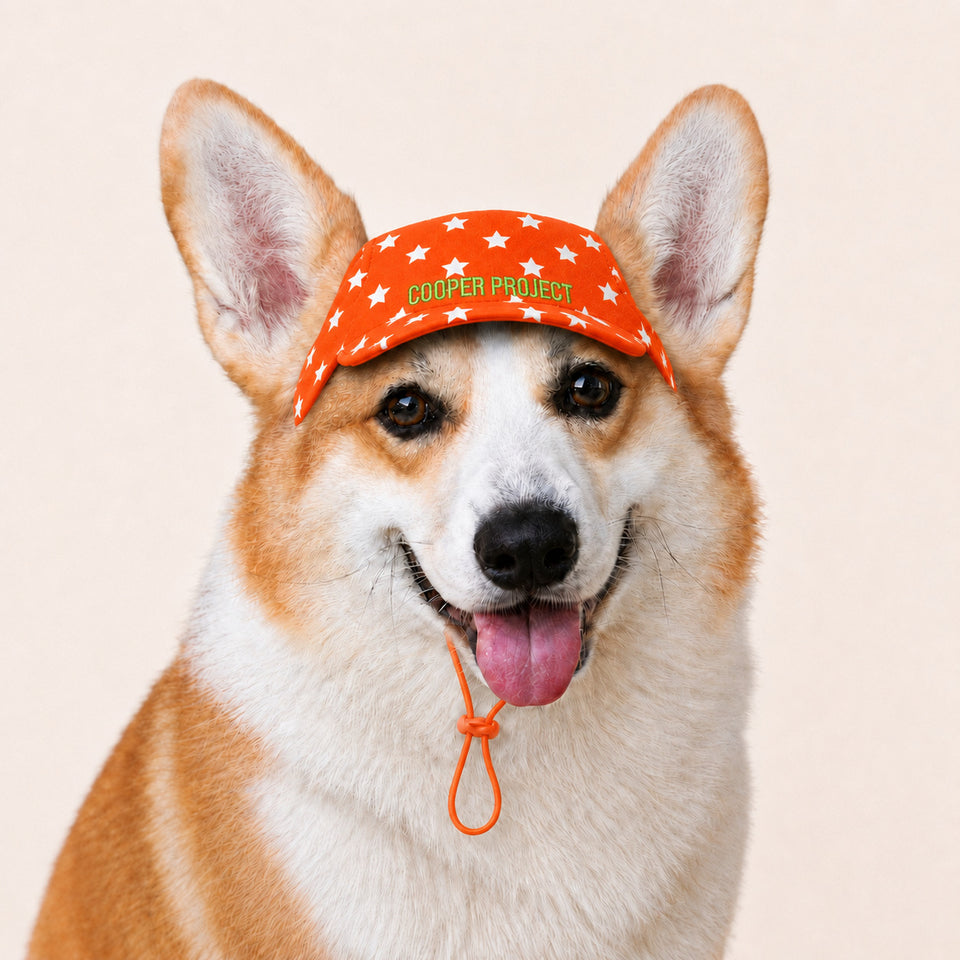 A corgi wearing the Orange Star Dog Cap