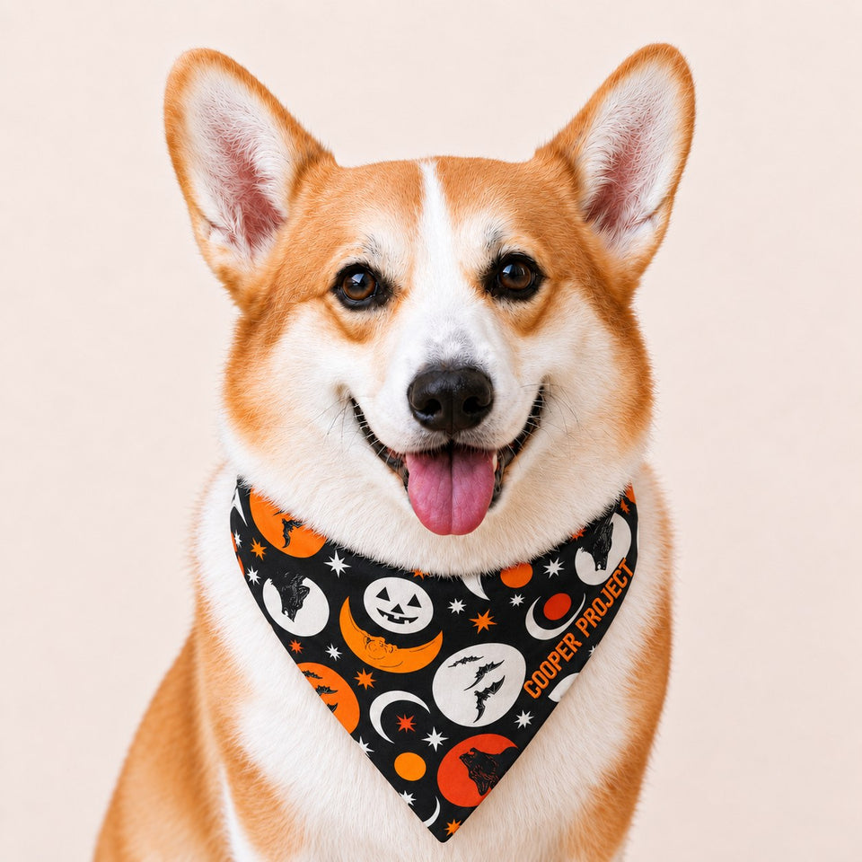 A corgi wearing the Pumpkin Moon Dog Bandana