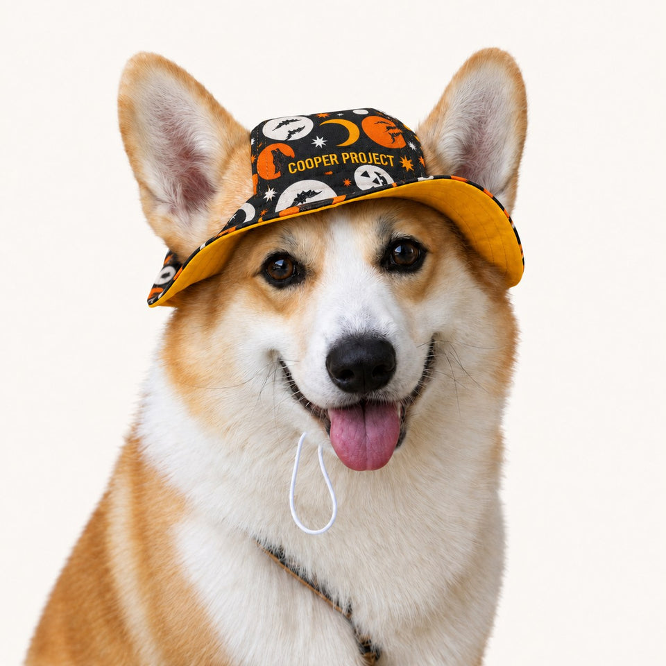 A corgi wearing the Pumpkin Moon Dog Bucket Hat