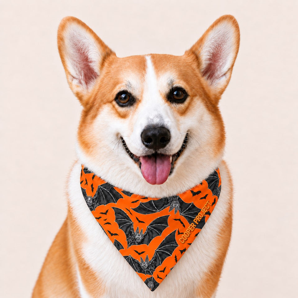 A corgi wearing the Vintage Bats Dog Bandana