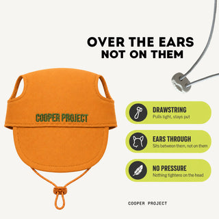 How the Amber Dog Cap sits: over the ears, not on them