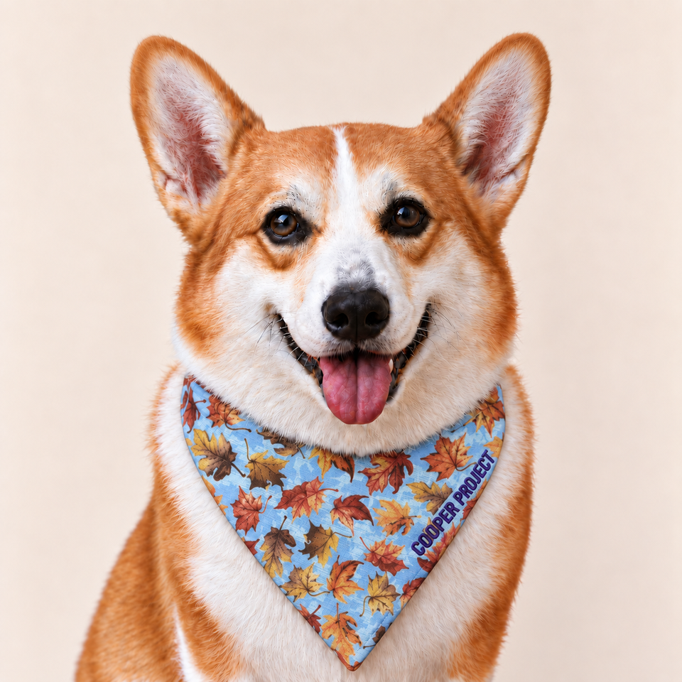 A corgi wearing the Autumn Leaves Dog Bandana — Yellow Reverse