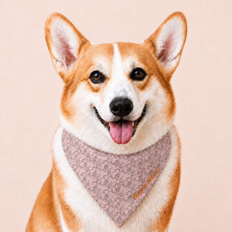 A corgi wearing the Blush Floral Dog Bandana