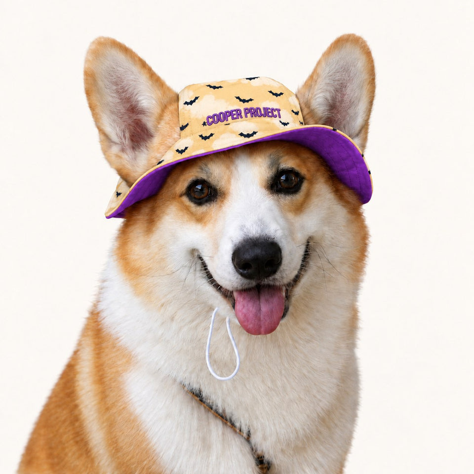 A corgi wearing the Cloudy Bats Dog Bucket Hat