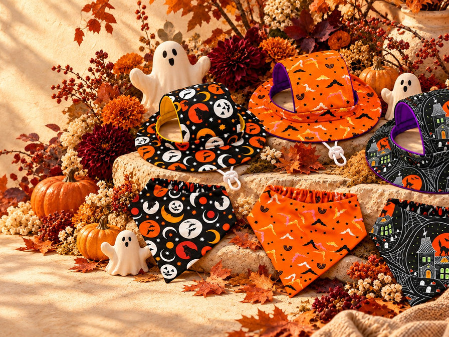 Halloween dog bandanas and bucket hats laid out among pumpkins, ghosts and autumn leaves