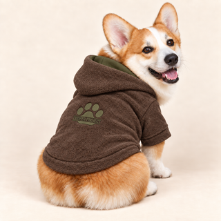 Corgi wearing a brown dog fleece hoodie, seated, rear three-quarter view, head turned