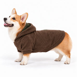 Corgi wearing a brown dog fleece hoodie, side profile, standing