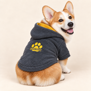 Corgi wearing a charcoal dog fleece hoodie, seated, rear three-quarter view, head turned
