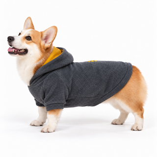 Corgi wearing a charcoal dog fleece hoodie, side profile, standing