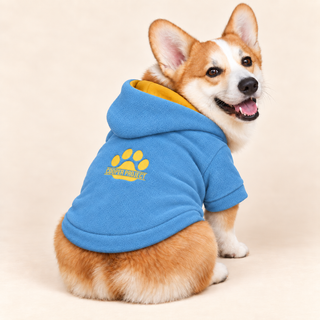 Corgi wearing a denim dog fleece hoodie, seated, rear three-quarter view, head turned