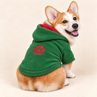 Corgi wearing a forest dog fleece hoodie, seated, rear three-quarter view, head turned