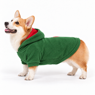 Corgi wearing a forest dog fleece hoodie, side profile, standing
