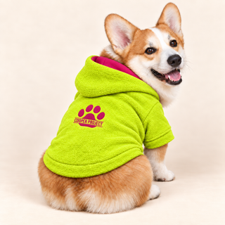 Corgi wearing a lime dog fleece hoodie, seated, rear three-quarter view, head turned