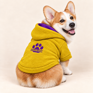 Corgi wearing a mustard dog fleece hoodie, seated, rear three-quarter view, head turned