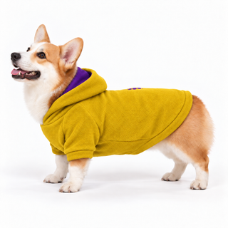 Corgi wearing a mustard dog fleece hoodie, side profile, standing
