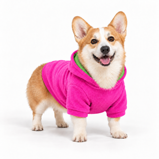 Corgi wearing a pink dog fleece hoodie, three-quarter front view, standing