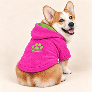 Corgi wearing a pink dog fleece hoodie, seated, rear three-quarter view, head turned