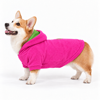 Corgi wearing a pink dog fleece hoodie, side profile, standing