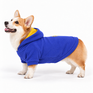 Corgi wearing a royal dog fleece hoodie, side profile, standing