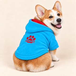 Corgi wearing a sky dog fleece hoodie, seated, rear three-quarter view, head turned