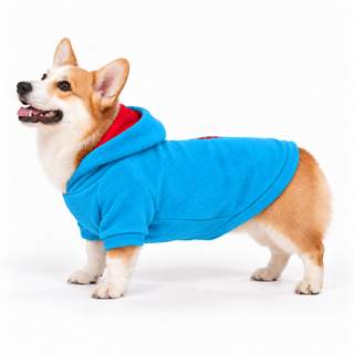 Corgi wearing a sky dog fleece hoodie, side profile, standing