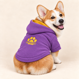 Corgi wearing a violet dog fleece hoodie, seated, rear three-quarter view, head turned