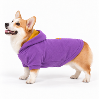 Corgi wearing a violet dog fleece hoodie, side profile, standing