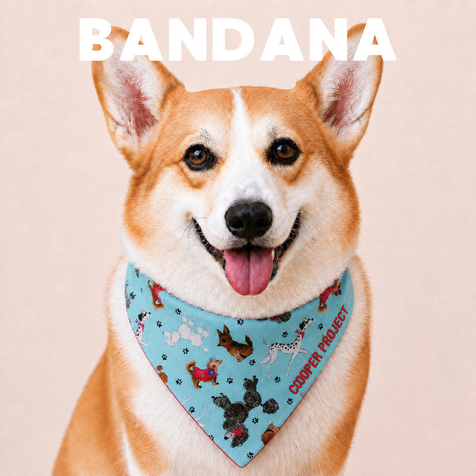 A corgi wearing the Dogs Bandana