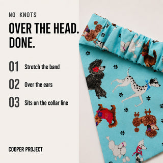 How the Dogs Bandana goes on: over the head, no knots