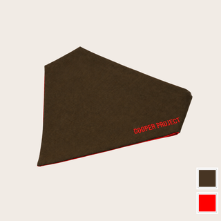 Khaki Dog Bandana — Red Reverse, shown on its own
