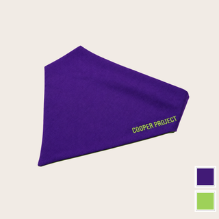 Violet Dog Bandana — Sage Reverse, shown on its own