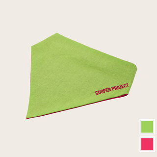 Sage Dog Bandana — Raspberry Reverse, shown on its own