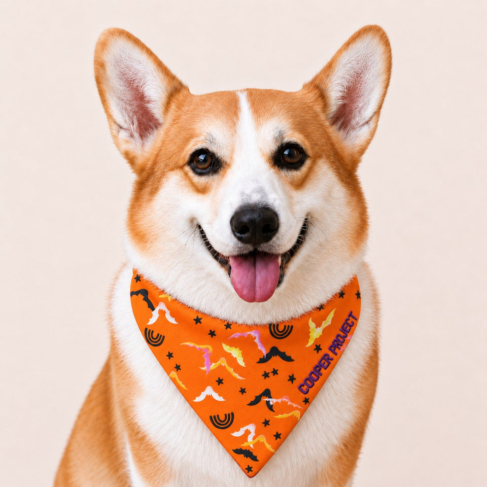 A corgi wearing the Flying Ghosts Dog Bandana
