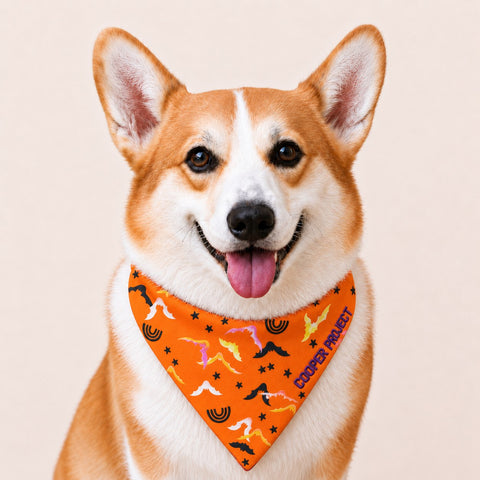 A corgi wearing the Flying Ghosts Dog Bandana