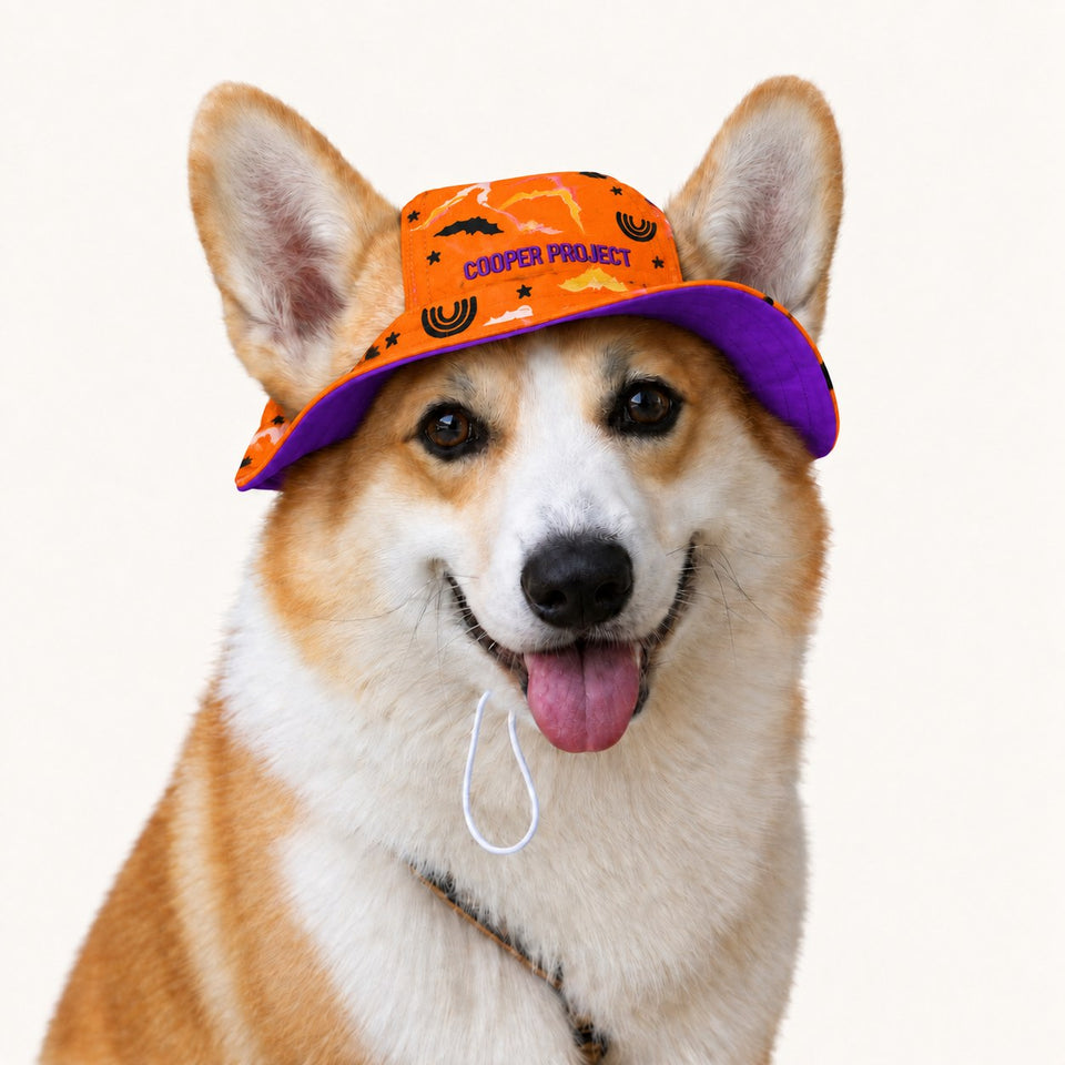A corgi wearing the Flying Ghosts Dog Bucket Hat