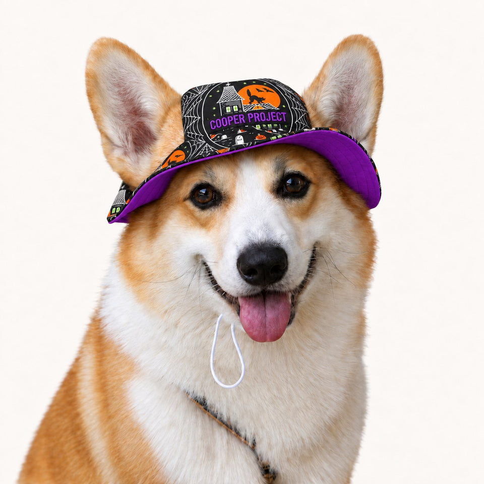 A corgi wearing the Haunted House Dog Bucket Hat