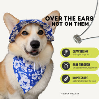 How the Hawaii Dog Bucket Hat sits: over the ears, not on them