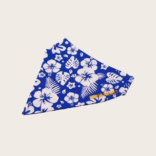 Hawaii Dog Bandana, shown on its own