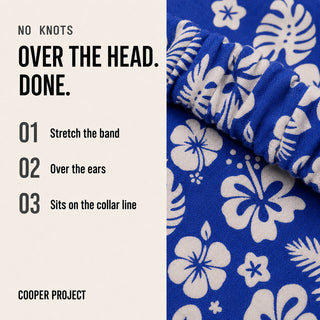 How the Hawaii Dog Bandana goes on: over the head, no knots