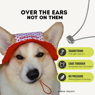 How the Hearts Dog Bucket Hat sits: over the ears, not on them
