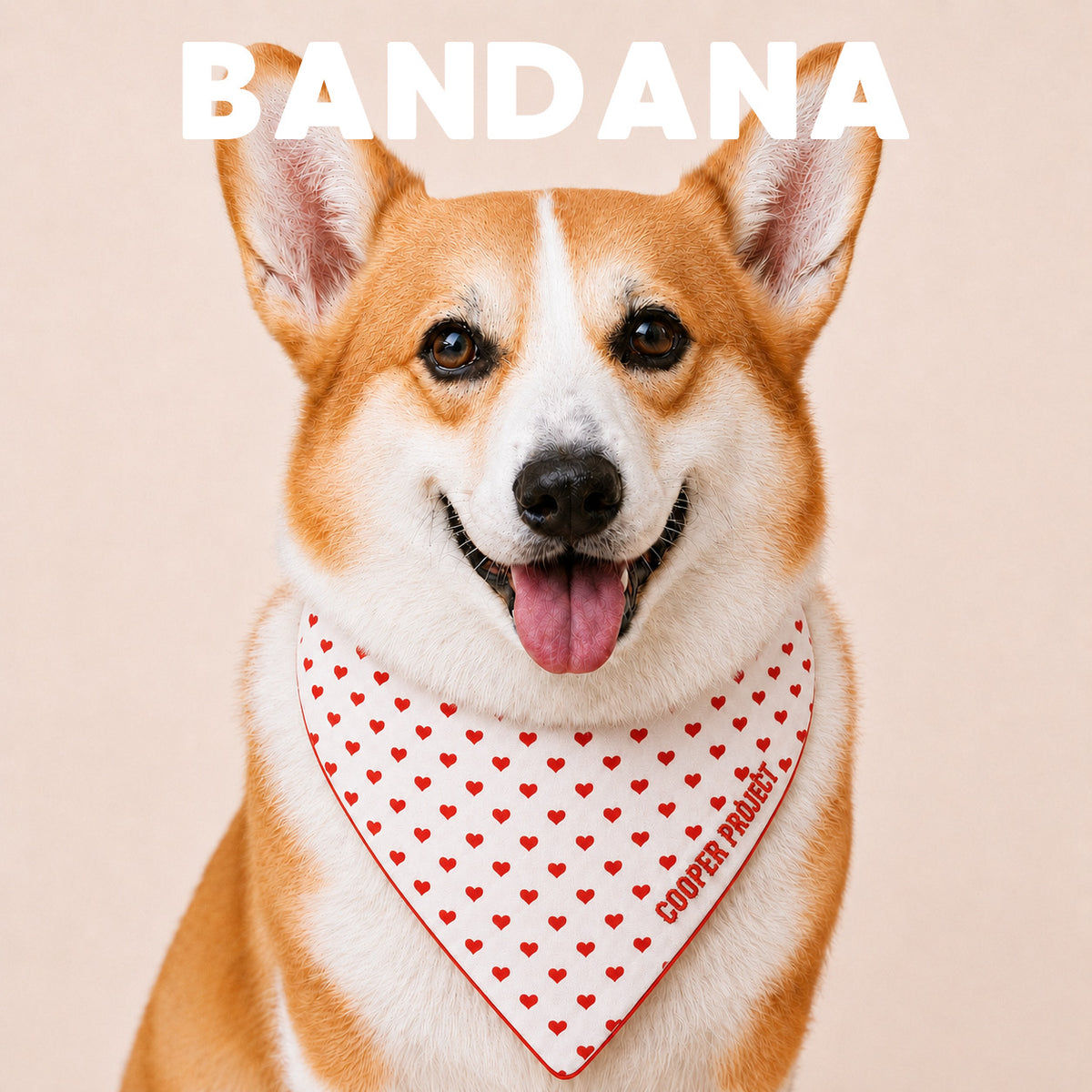 A corgi wearing the Hearts Dog Bandana — Red Reverse