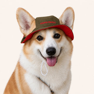 A corgi wearing the Khaki Dog Bucket Hat — Red Lining