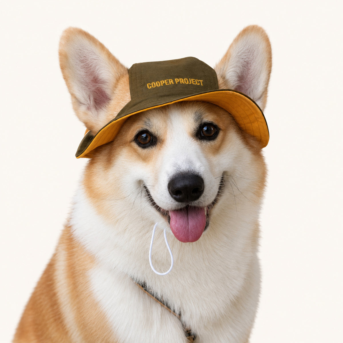 A corgi wearing the Khaki Dog Bucket Hat — Yellow Lining