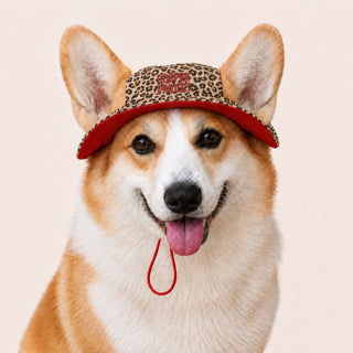 A corgi wearing the Leopard Dog Bucket Hat — Red Lining