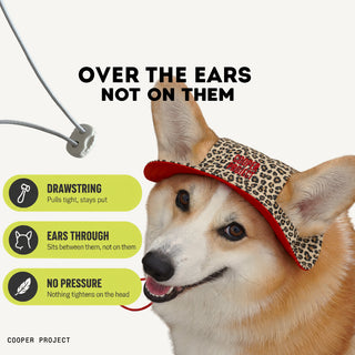 How the Leopard Dog Bucket Hat — Red Lining sits: over the ears, not on them