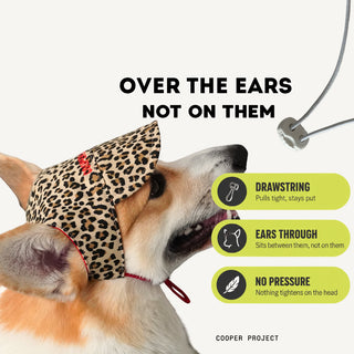 How the Leopard Dog Cap sits: over the ears, not on them