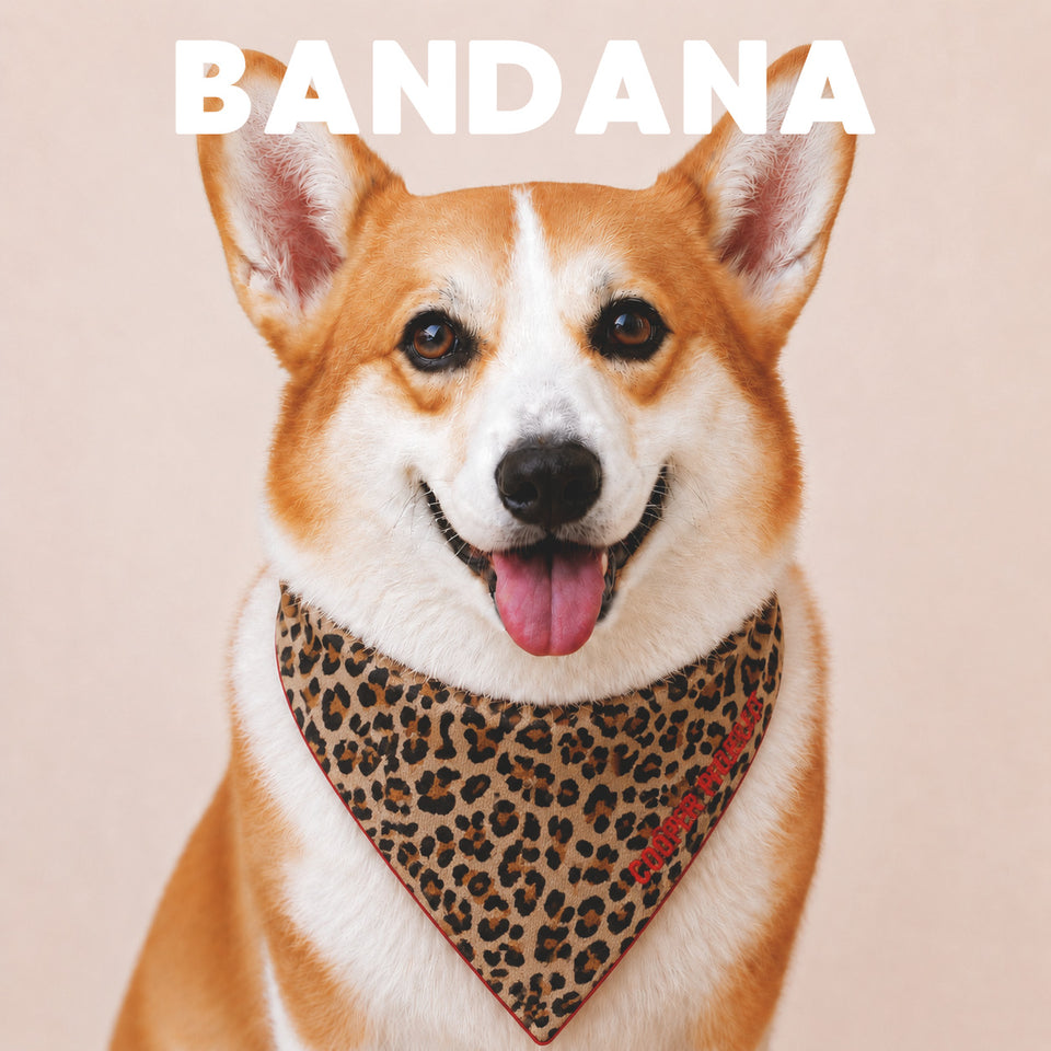 A corgi wearing the Leopard Dog Bandana — Red Reverse